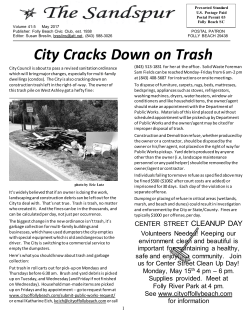 Sandspur - City of Folly Beach