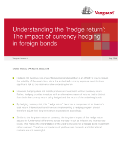 Understanding the `hedge return`: The impact of currency