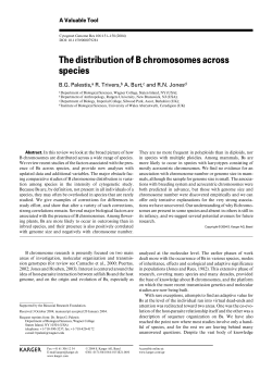 The distribution of B chromosomes across species