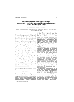 as a PDF