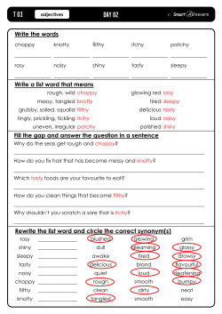 Day 02 T 03 - Smart Achievers