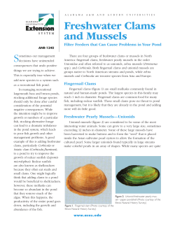 Freshwater Clams and Mussels - Alabama Cooperative Extension