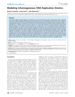 Modeling Inhomogeneous DNA Replication Kinetics