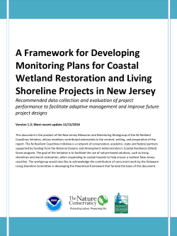 A Framework for Developing Monitoring Plans for Coastal Wetland