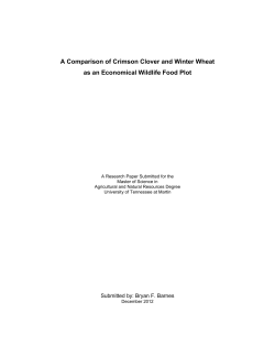 A Comparison of Crimson Clover and Winter Wheat