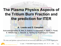 The Plasma Physics Aspects of the Tritium Burn Fraction and the