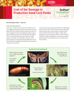 Cost of Ear Damage in Seed Corn Production Fields