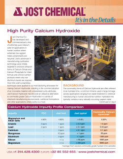 High Purity Calcium Hydroxide