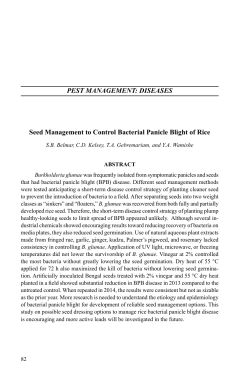 PEST MANAGEMENT: DISEASES Seed Management to Control