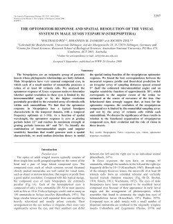 J. Exp. Biol. 203, 3397