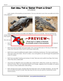 Can You Tell a `Gator From a Croc?