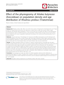 Effect of the physiognomy of Attalea butyracea (Arecoideae) on
