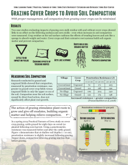 Cover Crops and Soil Compaction