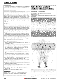 Motion direction, speed and orientation in binocular matching