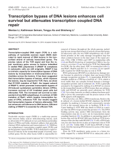Transcription bypass of DNA lesions enhances cell survival but