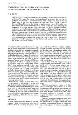 Egg Formation in Fiorland Creasted Penguins (Eudyptes