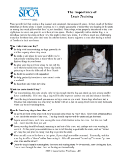 The Importance of Crate Training
