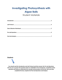 Investigating Photosynthesis with Algae Balls