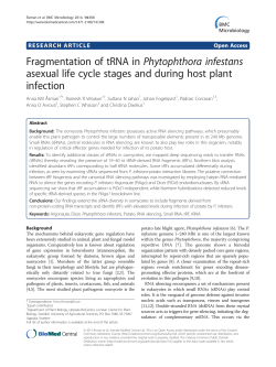 Fragmentation of tRNA in Phytophthora infestans asexual life cycle