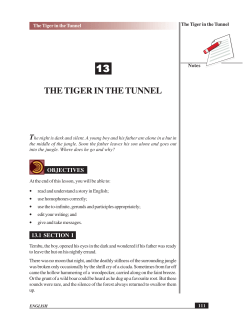 13 The tiger in the Tunnel.p65