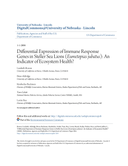 Differential Expression of Immune Response Genes in Steller Sea