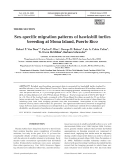 Sex-specific migration patterns of hawksbill turtles breeding at Mona