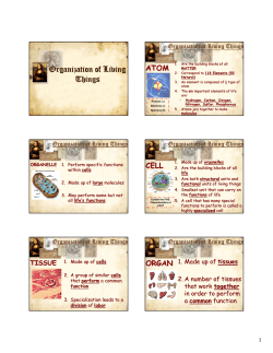 Organization of Living Things