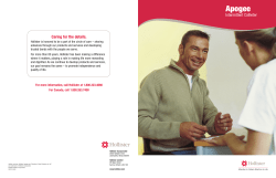 HOL_Apogee Brochure_907673