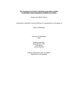 The consequences of head-on replication