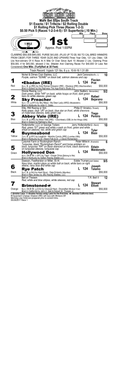 aEbadan (IRE) L 124 Sky Preacher L 124 Abbey