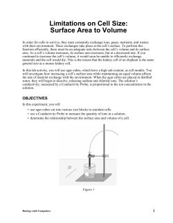 Limitations on Cell Size