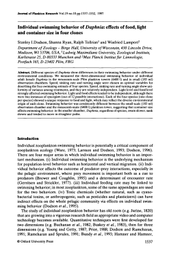 Individual swimming behavior of Daphnia: effects of food, light and
