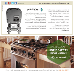Household Safety