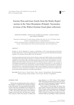 Eocene flora and trace fossils from the Hruby Regiel section in the