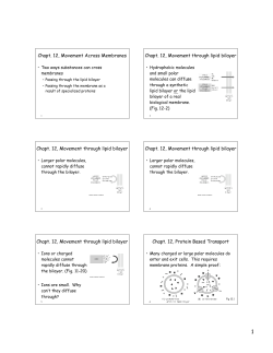 Chapt. 12, Movement Across Membranes Chapt. 12, Movement