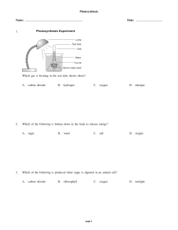 Photosynthesis Name: Date