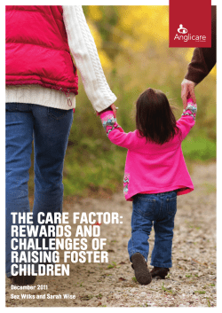 AV Foster Carer Report FinAll2
