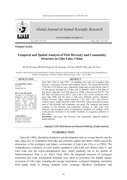 as a PDF