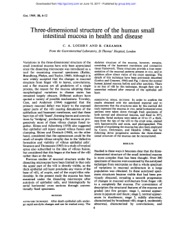 Three-dimensional structure of thehuman small intestinal