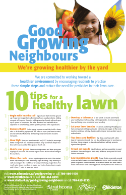 Good Growing Neighbours Lawn Care Tips
