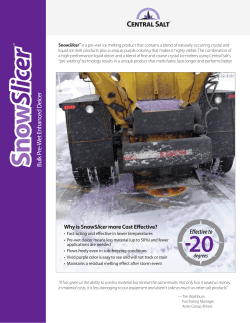 Snow Slicer - Central Salt