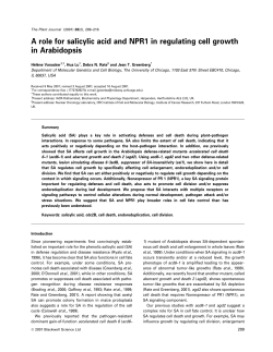 A role for salicylic acid and NPR1 in regulating cell growth in