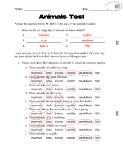 Answers - Mr. Collinson