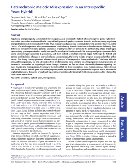 Heterochronic Meiotic Misexpression in an Interspecific Yeast Hybrid