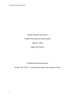 Flexible Domestic Natural Gas: POWER, PROCESS OR
