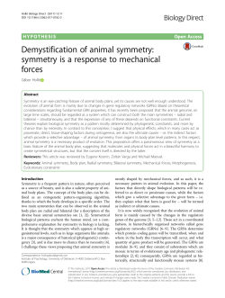 Demystification of animal symmetry: symmetry is a
