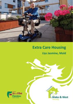 Llys Jasmine - Flintshire County Council