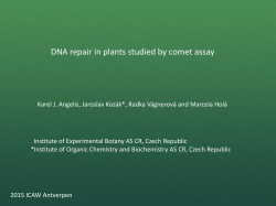 O6 ICAW 2015 Angelis Ecogenotoxicology