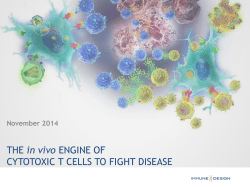 Harnessing the Immune System to Fight Disease