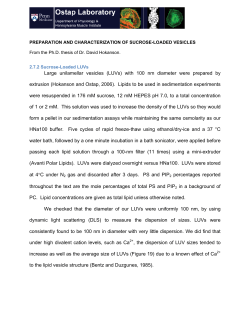 Large unilamellar vesicles (LUVs) with 100 nm diameter were
